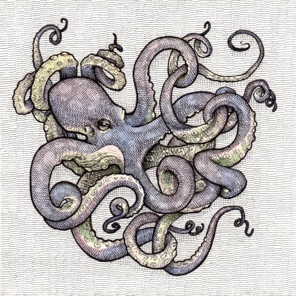 Colorful Octopus picture