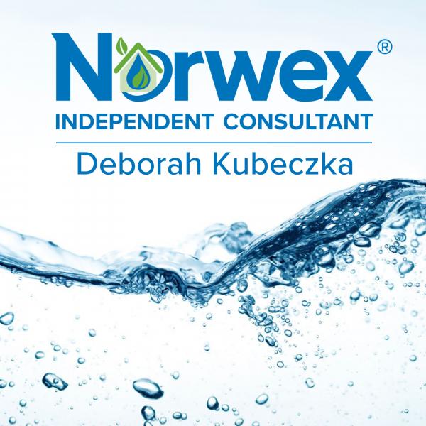 Deborah Kubeczka  Independent Consultant
