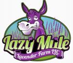 Lazy Mule Lavender Farm