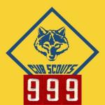 Cub Scout Pack 999