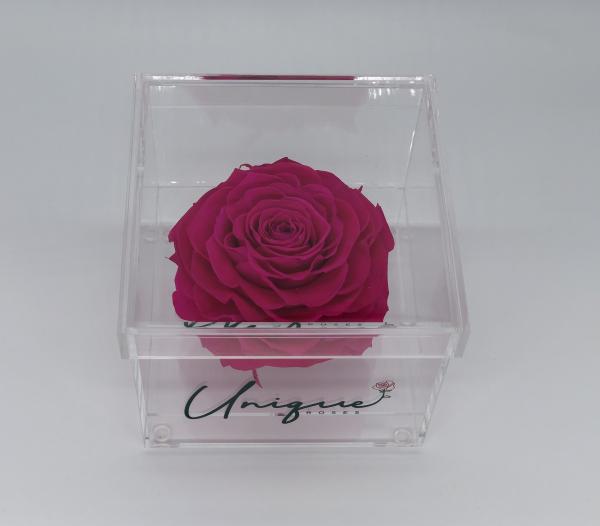 Unique Rose - Square Box picture