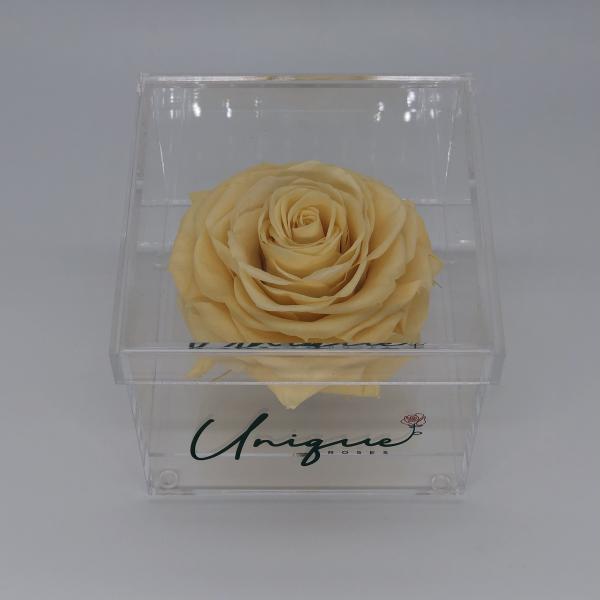 Unique Rose - Square Box picture