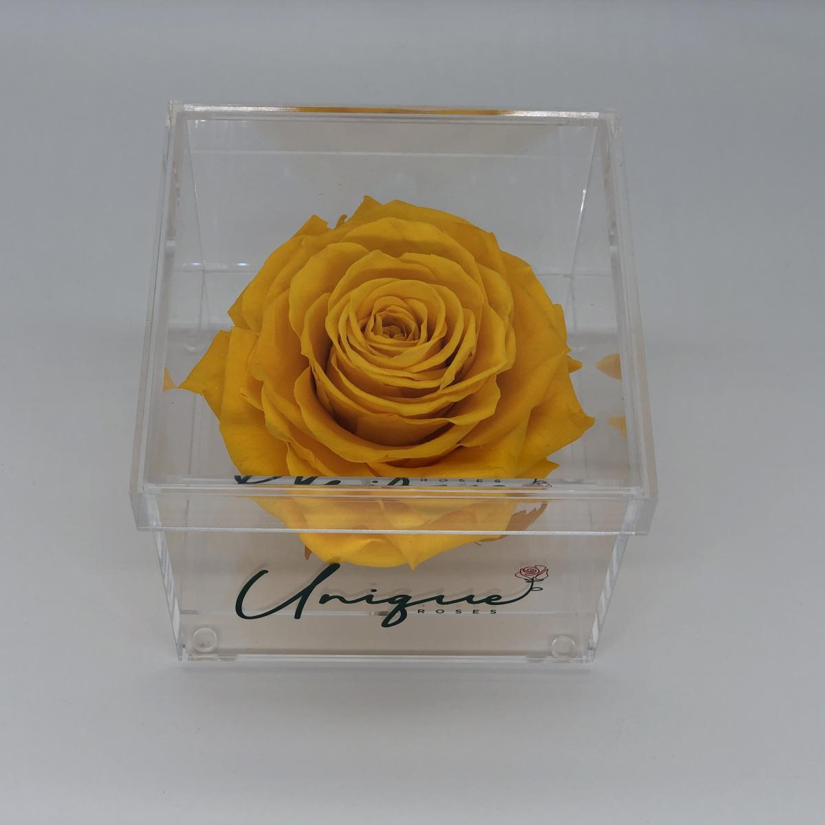 Unique Rose - Square Box picture
