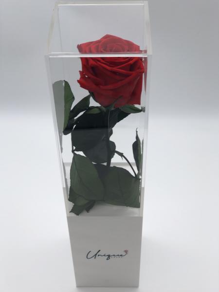 Unique Rose - Long Box picture