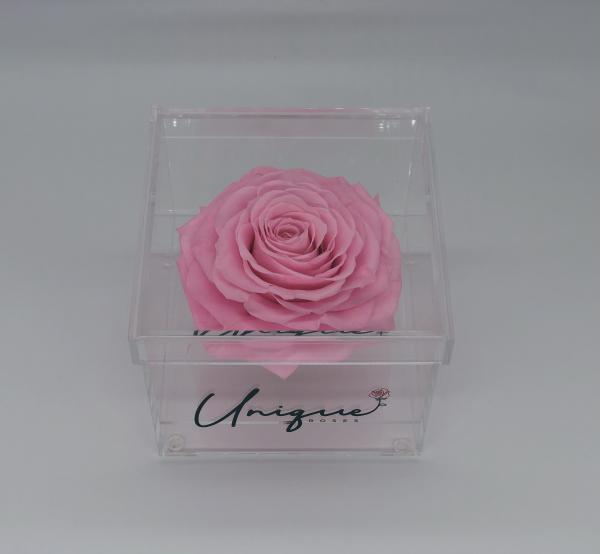 Unique Rose - Square Box picture