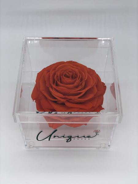 Unique Rose - Square Box picture