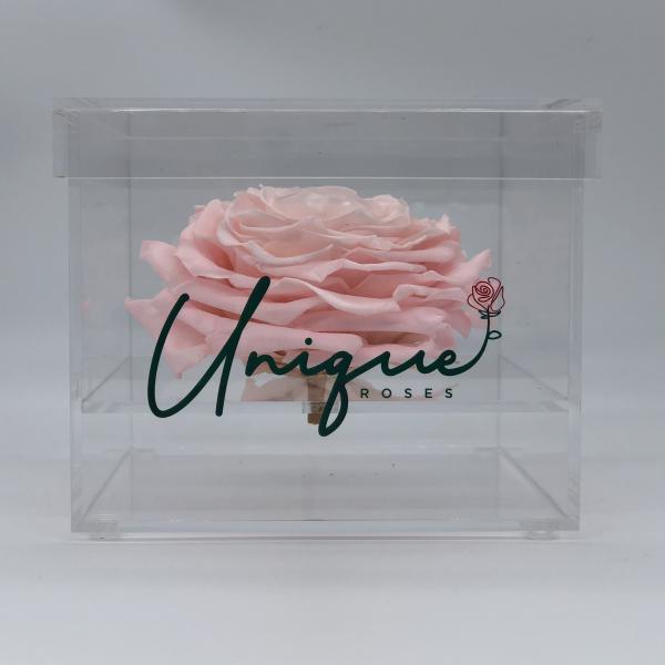 Unique Rose - Square Box picture