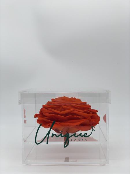 Unique Rose - Square Box