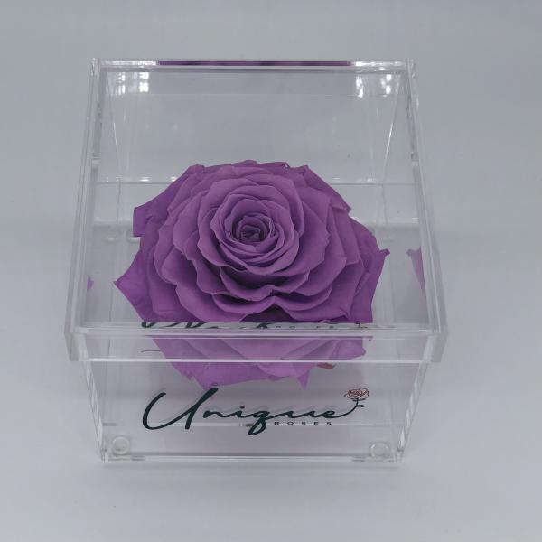 Unique Rose - Square Box picture