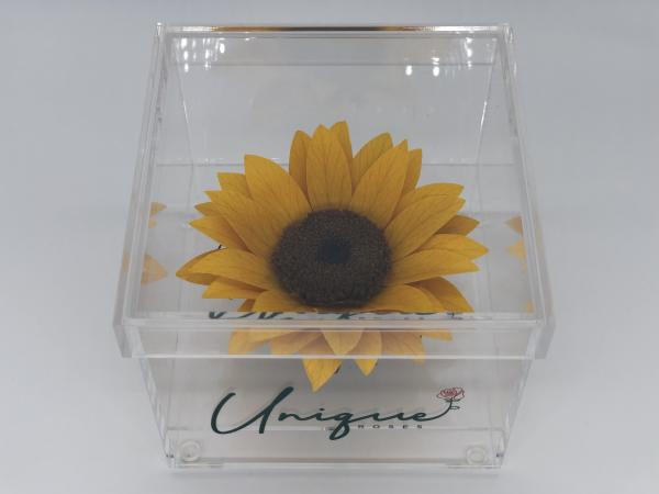 Unique Roses - Sunflower picture