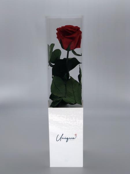 Unique Rose - Long Box