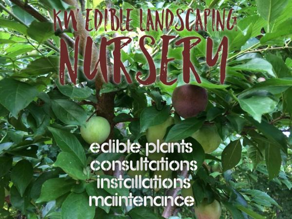 KW Edible Landscaping Nursery