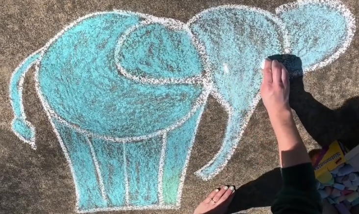St. Louis Zoo: Sidewalk Chalk Art Tutorial: Elephant picture