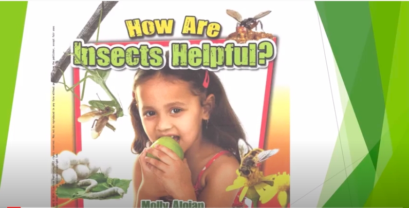 Mo Botanical Garden: Story Time: How Are Insects Helpful picture