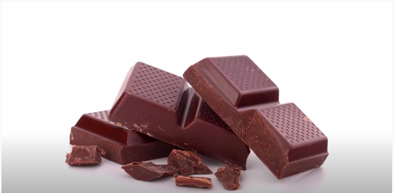 Mo Botanical Garden: How Cacao Becomes Chocolate