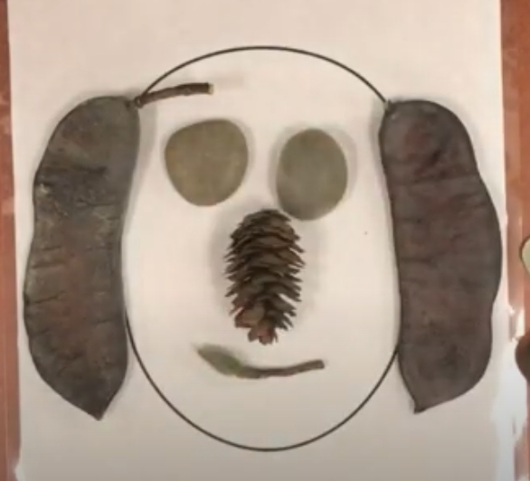 St. Louis Zoo: "Nature Faces" Craft