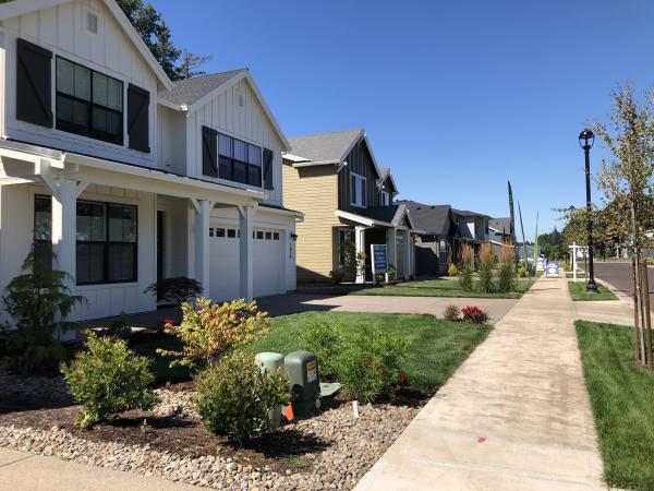 Single-Family Residential picture