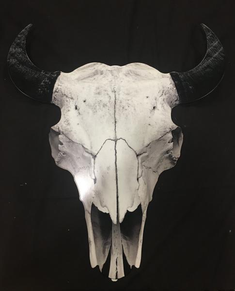 Skull picture