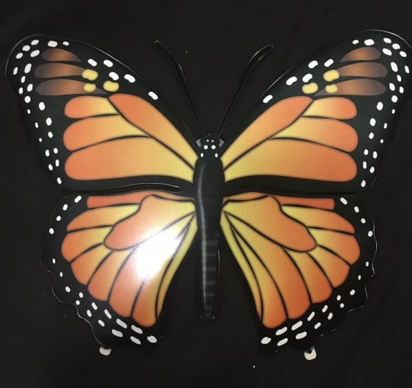 Large Monarch picture