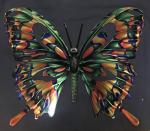 Large Multi Color Butterfly