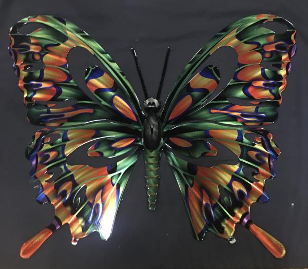 Large Multi Color Butterfly picture