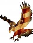 Faded Flag Eagle