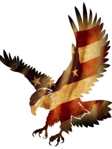 Faded Flag Eagle