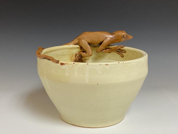 Lizard Bowl picture