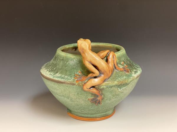 Frog Pot picture