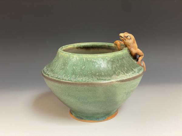 Frog Pot picture