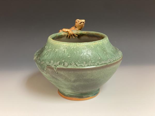 Frog Pot picture