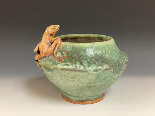 Frog Pot picture