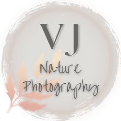 VJ Nature Photography