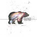 Galaxy Series - Bear *ORIGINAL*