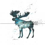 Galaxy Series - Moose *ORIGINAL*