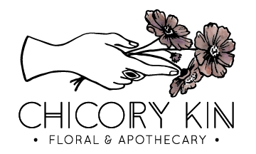 Chicory Kin