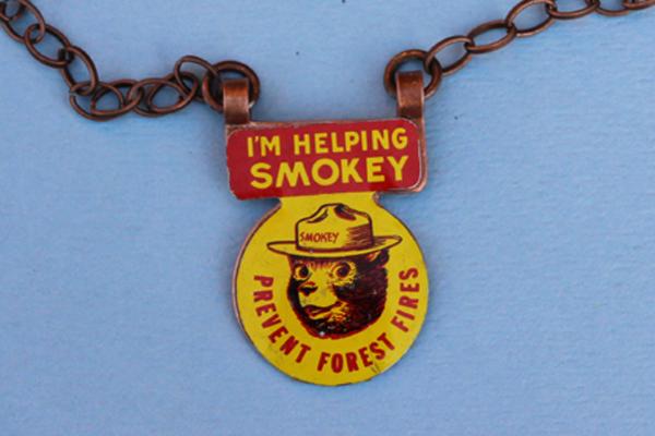 N485 Smokey the Bear picture