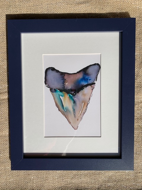 Shark Tooth Print and Frame
