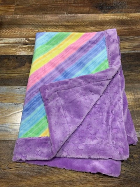 Rainbow/Purple Minkey Blanket