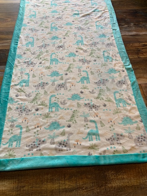 Dino/Blue Minky Blanket