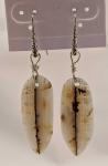 Montana Moss Agate Earrings #4189