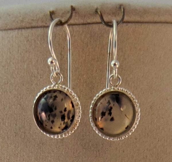 Montana Moss Agate Earrings #3996