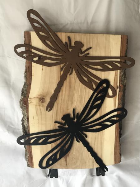 DragonFly on Live Wood picture