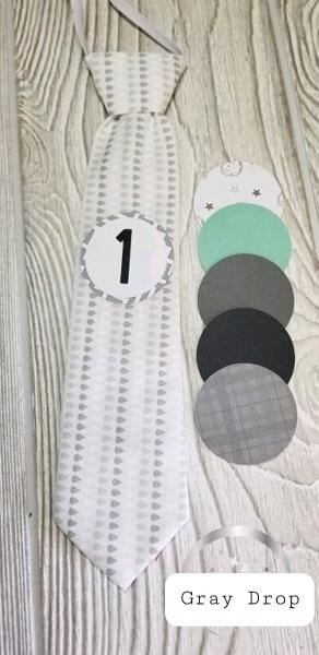 GRAY DROP-MONTHLY MILESTONE TIES PHOTO PROP picture