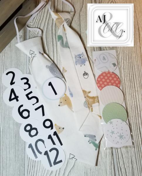 GRAY DROP-MONTHLY MILESTONE TIES PHOTO PROP picture