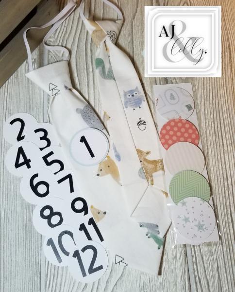 TRIANGLE CONFETTI-MONTHLY MILESTONE TIES PHOTO PROP picture