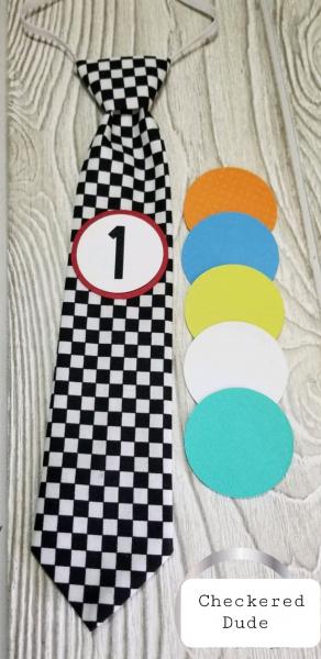 CHECKERED DUDE-MONTHLY MILESTONE TIES PHOTO PROP picture