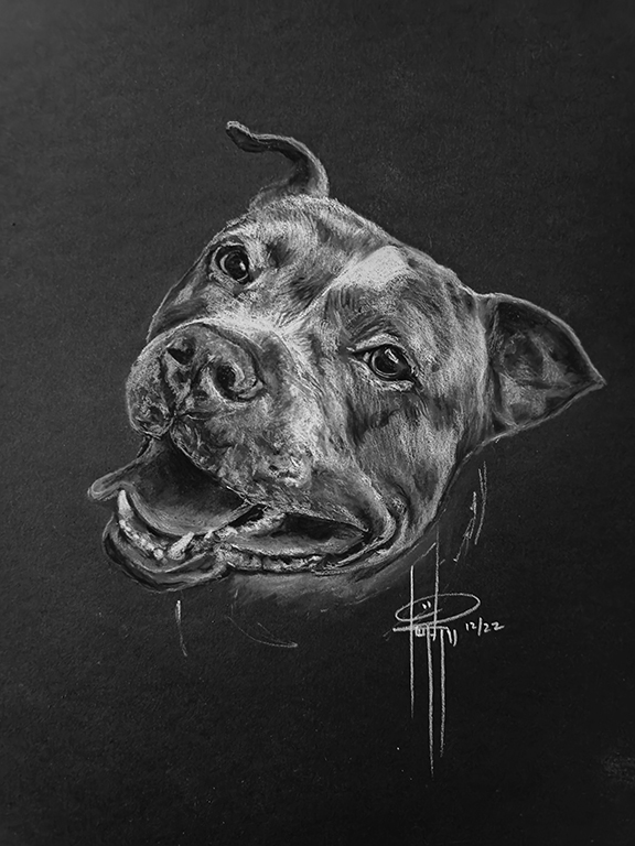 Pet portraits picture