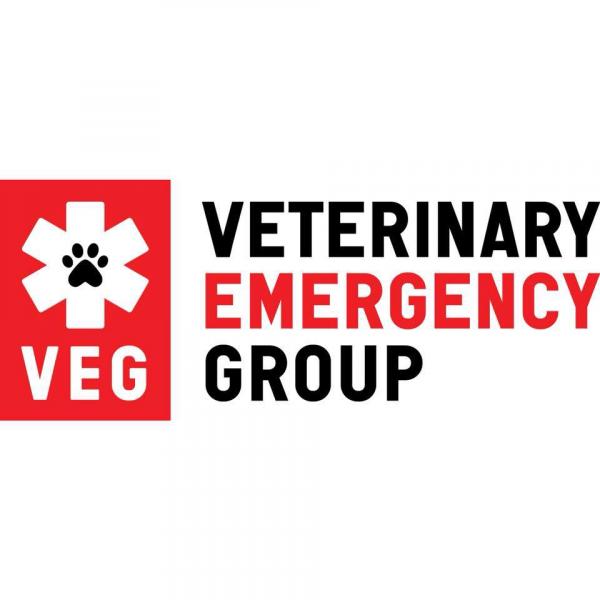 Veterinary Emergency Group