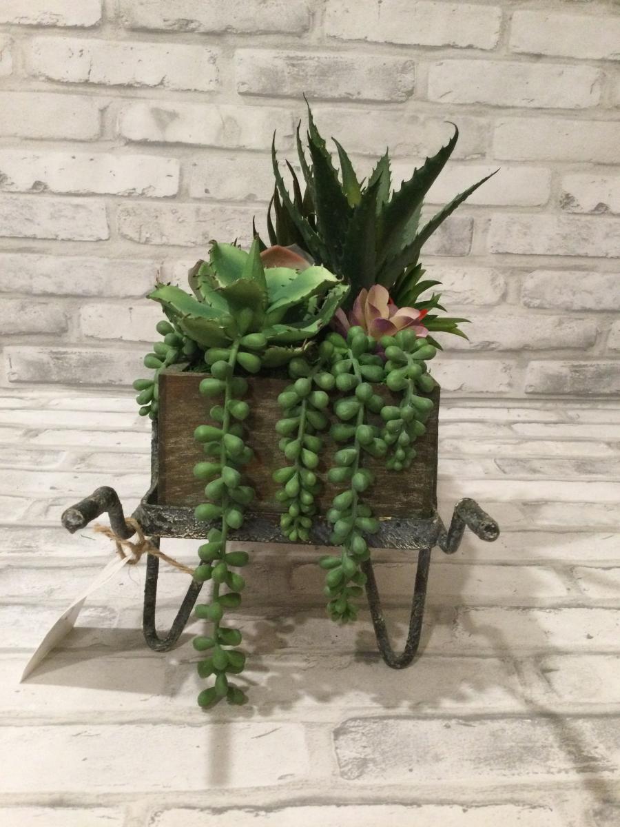 Vintage cactus planter picture